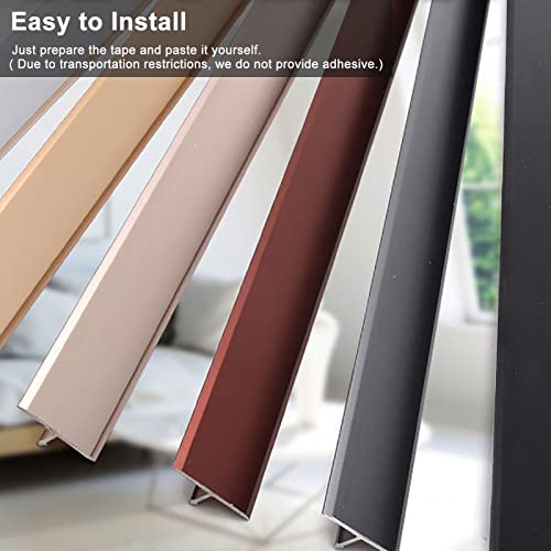 Bande de transition de tapis mate 1,6 pouce pour seuil de porte - 5