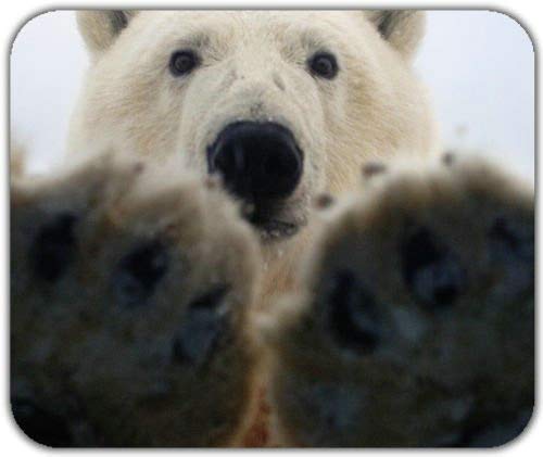 Nice Cute Wild Animal Polar Bear Paws Say Hello to Camera Mouse Pad Mousepad Mat MP7394