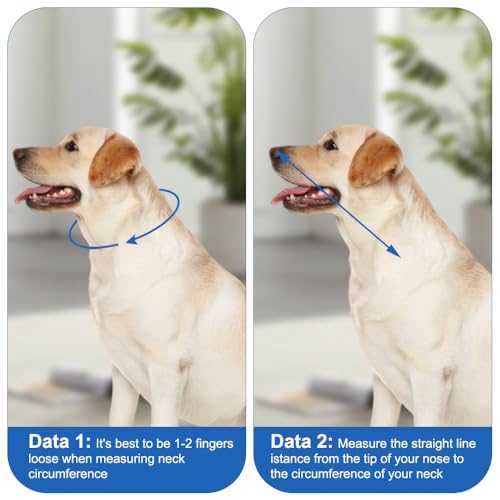 Halskrause Hund, Hundekragen Leckschutz, Atmungsaktive Halskragen Hund, Einstellbarer Halskrausen für Hunde, Trichter Hunde, Hundehalskrause FüR Vorbeugung Von Biss-Und Leckwunden, Size L, Blau