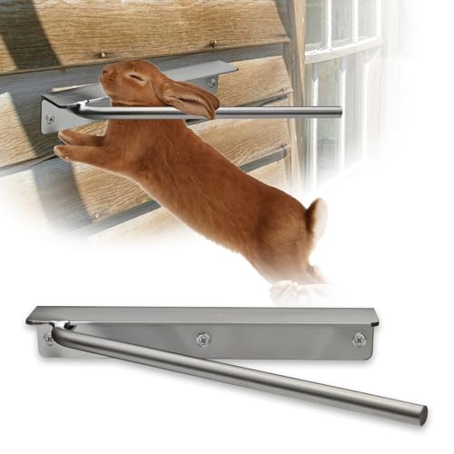 Meat processing equipment