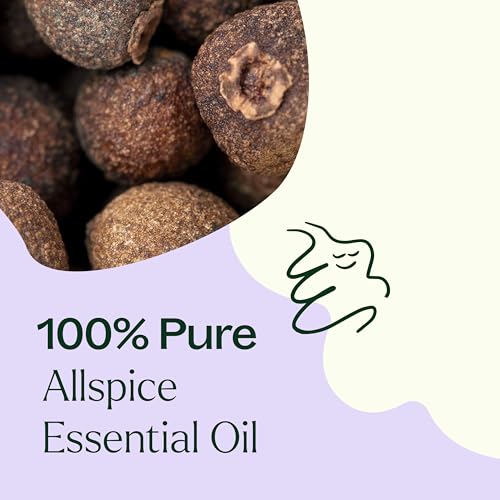 Aceite Esencial de Allspice 10 mL 100% Puro miniatura 5