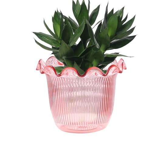 Vase Clair - Vase Hydroponiques | Récipient de plantee à Eau | Pot de Fleur Succulentt de Cristall de Animal de Compagnie, planteur pour Toile de Fond Photo, décoration de Vacances, Hall de l'hôtel