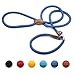 Supet Laisse Dressage Chien Collier Laisse Chien Laisse Lasso Laisse en Cuire Laisse Educative Sangle pour Chien 2 en 1 Collier et Laisse