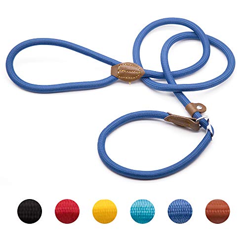 Supet Laisse Dressage Chien Collier Laisse Chien Laisse Lasso Laisse en Cuire Laisse Educative Sangle pour Chien 2 en 1 Collier et Laisse