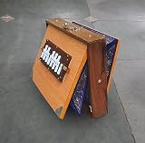 HomeAdri Shruti Box, grand et petit bois de teck pur Sur Peti avec sac de forme, couleur naturelle, instrument de musique accordé 440 Hz