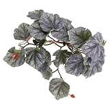 FINISPERSOO 爬虫類人工植物 吸盤付き 柔軟に形状可能 爬虫類ケージ用 隠れ家と運動促進 テラリウム装飾 両生類飼育ケース向け