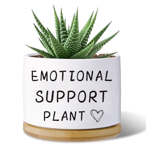 Haooxinwei Funny planters for Indoor Plants for Planter Lover Indoor Plants Garden Planters Succulent Pots with Drainage Holes and Saucer(No Plants) (Emotional Support Plant)