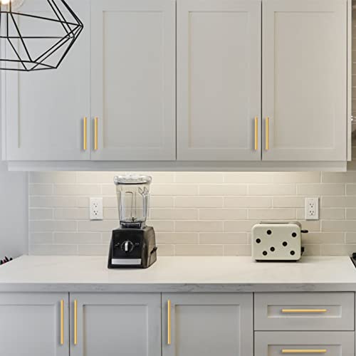 Amerdeco 10 pezzi Maniglie per Mobili da Cucina