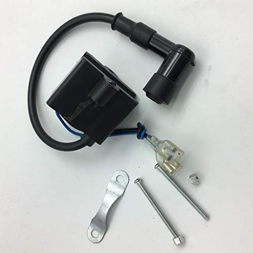 D DOLITY Black Capacitor Discharge Ignition - CDI - Coil/Performance CDI Electron Ignition Coil for 50cc/80cc Gas Motorized Bicycle