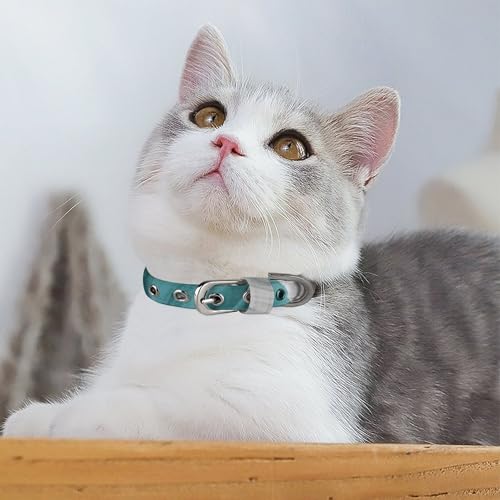Collier réglable pour chien et chat : ajustement parfait taille petite