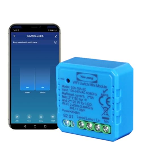 Interruttore WiFi, 2 Gang 2 Vie Smart Timer Switch Funziona in Parallelo con Interruttore a Parete Originale, Compatibile con Alexa Echo e Google Home, Ricevitore a Relè 2500W