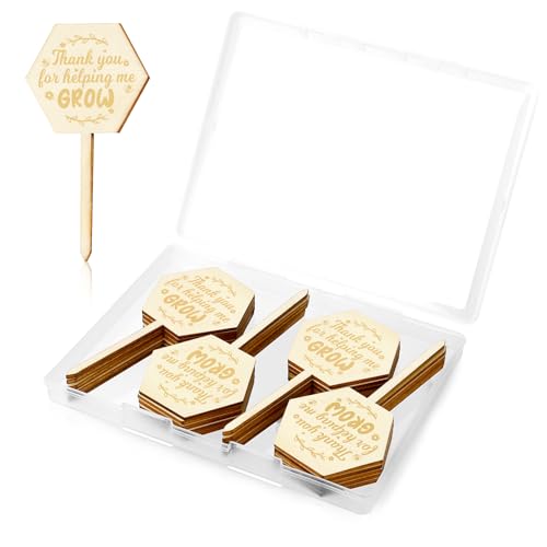 20PCS Thank You for Helping Me Grow Tags - Teacher Appreciation & Mothers Day Gifts - Hexagon Succulents Labels for Teachers Day