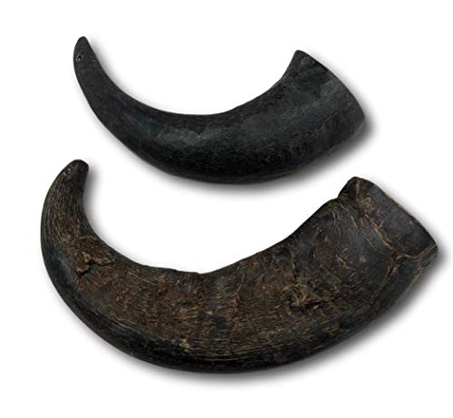 Top Dog Chews 2 Pack Natural Water Buffalo Horns Edible Treats #TOP2