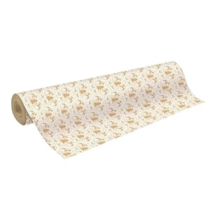 Clairefontaine 223920C Kraftpapier Rolle, Weiß