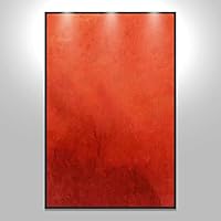 SIGNWIN Framed Canvas Wall Art Colorful Canvas Prints Home Artwork Decoration for Living Room,Bedroom - 16