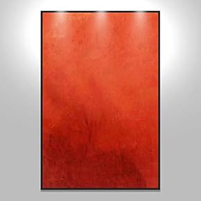 SIGNWIN Framed Canvas Wall Art Colorful Canvas Prints...