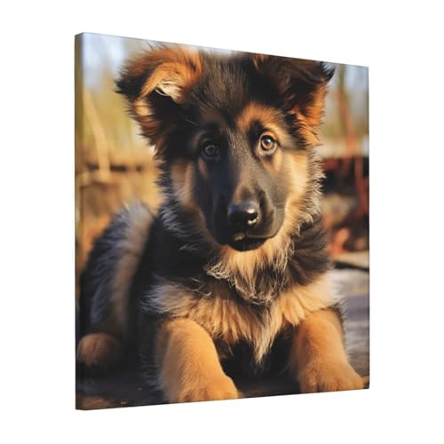 Toile de berger allemand pour habiller un mur vide sans encombrer