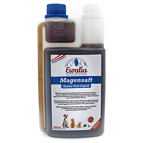 NEU! EWALIA Magensaft für Hunde - Sanfte Pflege für den Magen Ihres Hundes - Für EIN harmonisches Bauchgefühl - mit Tierärzten entwickelt, 100% Natur pur, frei von Zusätzen - 500ml