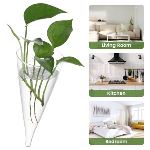 Image of Healeved Transparent Circular Cone Glass Vase, Wall Mounted Plant Propagation Station, Ideal Mother's Day Gift, 20.50 cm (H) x 9.00 cm (Diameter)