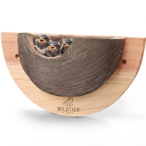 wildtier liebe 1er Schwalbennest Nisthilfe Natur für Mehlschwalben aus Massiv-Holz und naturgetreuen Schlammerden - unbehandelt wetterfest Schwalben Nistkasten