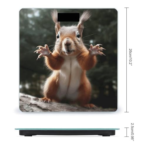 Báscula Digital de Baño con Diseño de Ardilla y Pantalla LCD miniatura 2