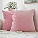 MIULEE Lot de 2 Housses de Coussins en Velours Décoratif Canapé Taie d'oreiller Super Lisse Doux Confortable Decoration Maison Salon Chambre pour Canapé 40X40CM Sakura Rose