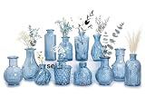 Ensemble de vases à boutons en verre Sawaoke, bleu, 12 pièces, style...
