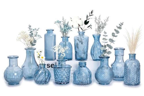 Anquephd Mini Bud Vases Centerpieces for Tables,Clear Bud Vases for Flowers,Small Flower Vases Suitable for Birthday Party,Anniversary,Wedding Reception,Baby Shower (Blue, 12PCS)