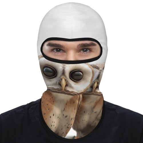 Balaclava para hombres, máscara para esquiar con diseño divertido de búho, cubre cara para ciclismo en invierno miniatura 7