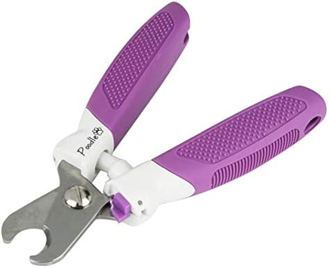 professional poodle clippers