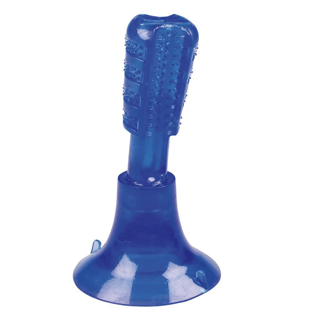 Duvo+ Chew 'n Play Brush Fix L - 18,5x10,3x10,3cm, Blue