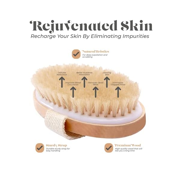 Dry-Skin-Body-Brush-Improves-Skins-Health-and-Beauty-Natural-Bristle-Remove-Dead-Skin-and-Toxins-Cellulite-Treatment-Improves-Lymphatic-Functions-Exfoliates-Stimulates-Blood-Circulation Dry Skin Body Brush - Improves Skin's Health and Beauty - Natural Bristle - Remove Dead Skin and Toxins, Cellulite Treatment, Improves Lymphatic Functions, Exfoliates, Stimulates Blood Circulation