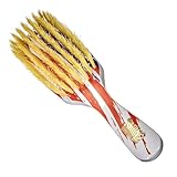 TORINO PRO WAVE BRUSHES BY BRUSH KING
