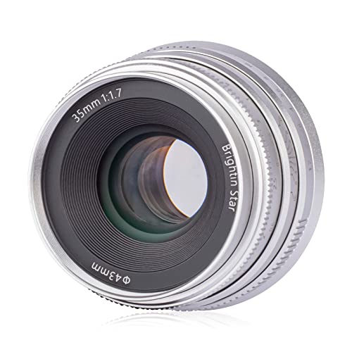 Image of Brightin Star 35mm F1.7 Large Aperture APS-C Manual Focus Prime Fixed Mirrorless Camera Lens, Fit for Sony ZV-E10, A7IV, A6400, A7II, A7SIII, A7III, A7C, A6600, A6100, A7RIV, A6000, A7RIII(Silver)
