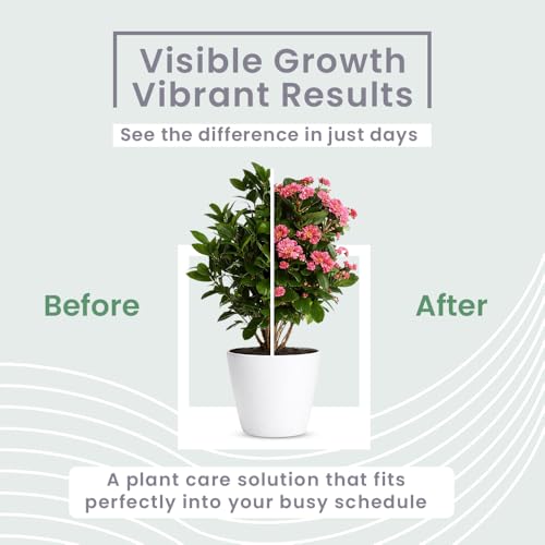 Image of IFFCO Urban Gardens - Green Diet + Flora Diet Combo - 4 Kg - Organic Plant Food For Indoor & Outdoor plants, and Flower Booster - Balanced Macro & Micro Nutrients, Slow-Release Granules