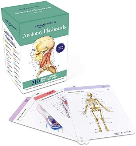 Anatomy Flashcards: 300 Flashcards with Anatomically Precise Drawings and Exhaustive Descriptions + 10 Customizable Bonus Cards and Sorting Ring for Custom Study