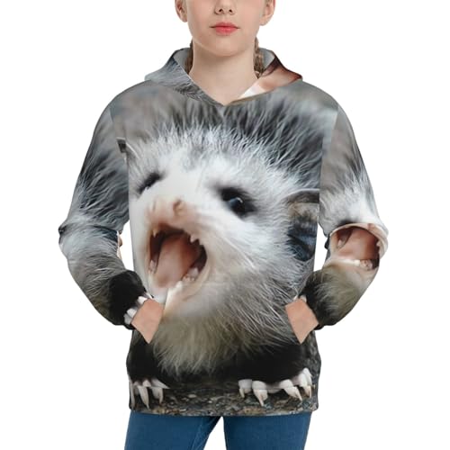 Possum Hissing Boy, Girls Sports Shirt Youth Pullover Fashion Hooded Sweatshirt3