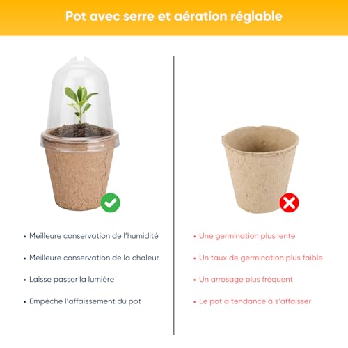 NOPALIA Premium-Kaktus-Set – Mini-Kaktus-Set – Mini-Kakteen – Weihnachtsgeschenkidee – Zimmerpflanze – fertig zum Wachsen – Garten im Innenbereich – originelles Weihnachtsgeschenk – Sukkulenten