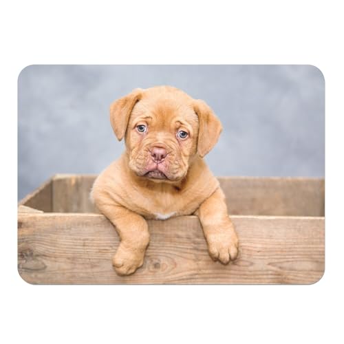 Sets de table en liège chiot protégez votre meuble avec ces 4 napperons dogue de bordeaux