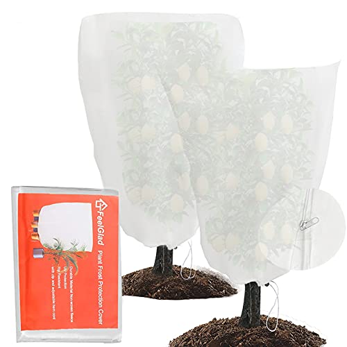 Devenirriche 2 Stück Winterschutz Pflanzen, 100x100x180cm Frostschutz Kübelpflanzensack mit Reißverschluss Zugband Winddicht und Frostsicher Cover