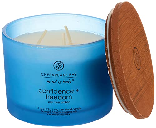 Chesapeake Bay Candle Scented Candle Confidence Freedom Oak Moss Amber 3 Wick Coffee Table Jar Blue Home Decor