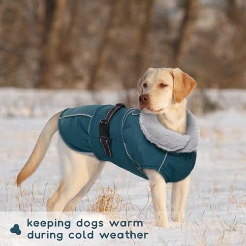 Wintermantel für Kleine Hunde, Winterjacke wasserdichte Hundejacke Hundeweste Winter Fleece Winddicht Outdoor jacken Chihuahua Hundemantel Französische Bulldogge(Dunkelgrün, S)