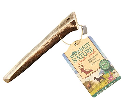 Dehner Best Nature Hundesnack, hochwertiges Leckerli geruchsarm / 100 % narürlich, Kausnack für Hunde, Rothirsch-Geweih halb, Größe S