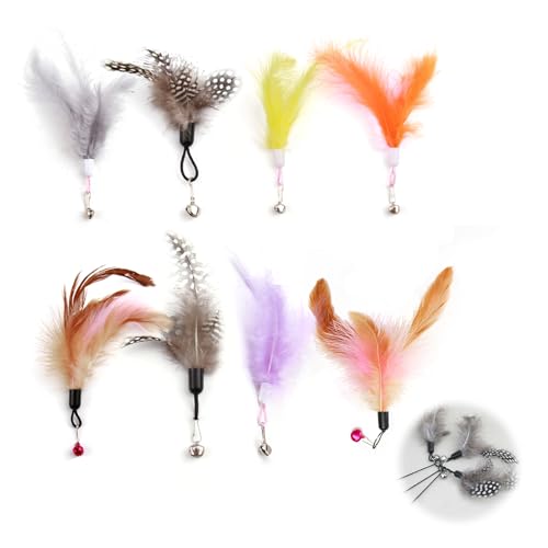 8 Stück Katze Federspielzeug mit Glocken, Katzen Federspielzeug, Feder Teaser Katze Spielzeug, Ersatzfeder Nachfüllpackungen mit Glocken, Exerciser...