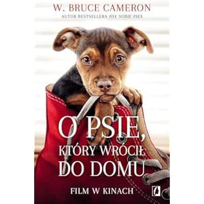 O psie ktory wrocil do domu