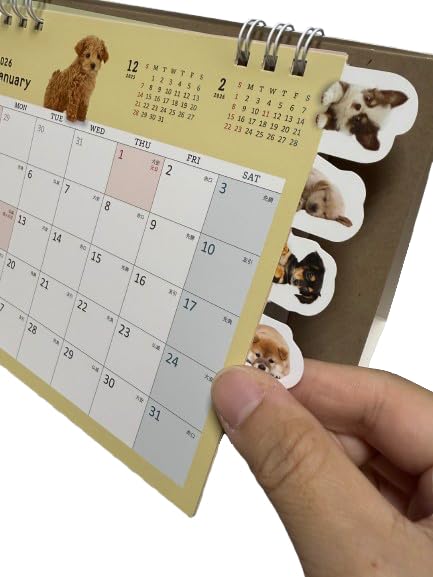 Amazon | 月と犬の部分でサッとめくれる『カレンダー 2026年1月〜12月