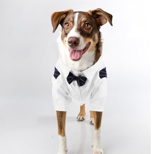 Traje de boda para perro POPETPOP talla L color navy miniatura 6
