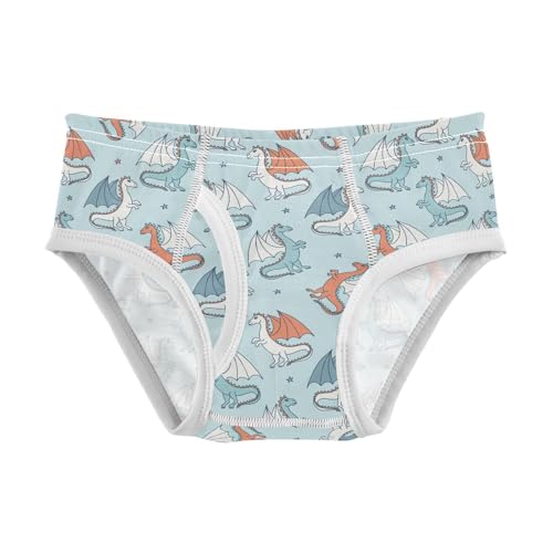 Cotton Little Boys Briefs Dragon Soft Toddler Underwear