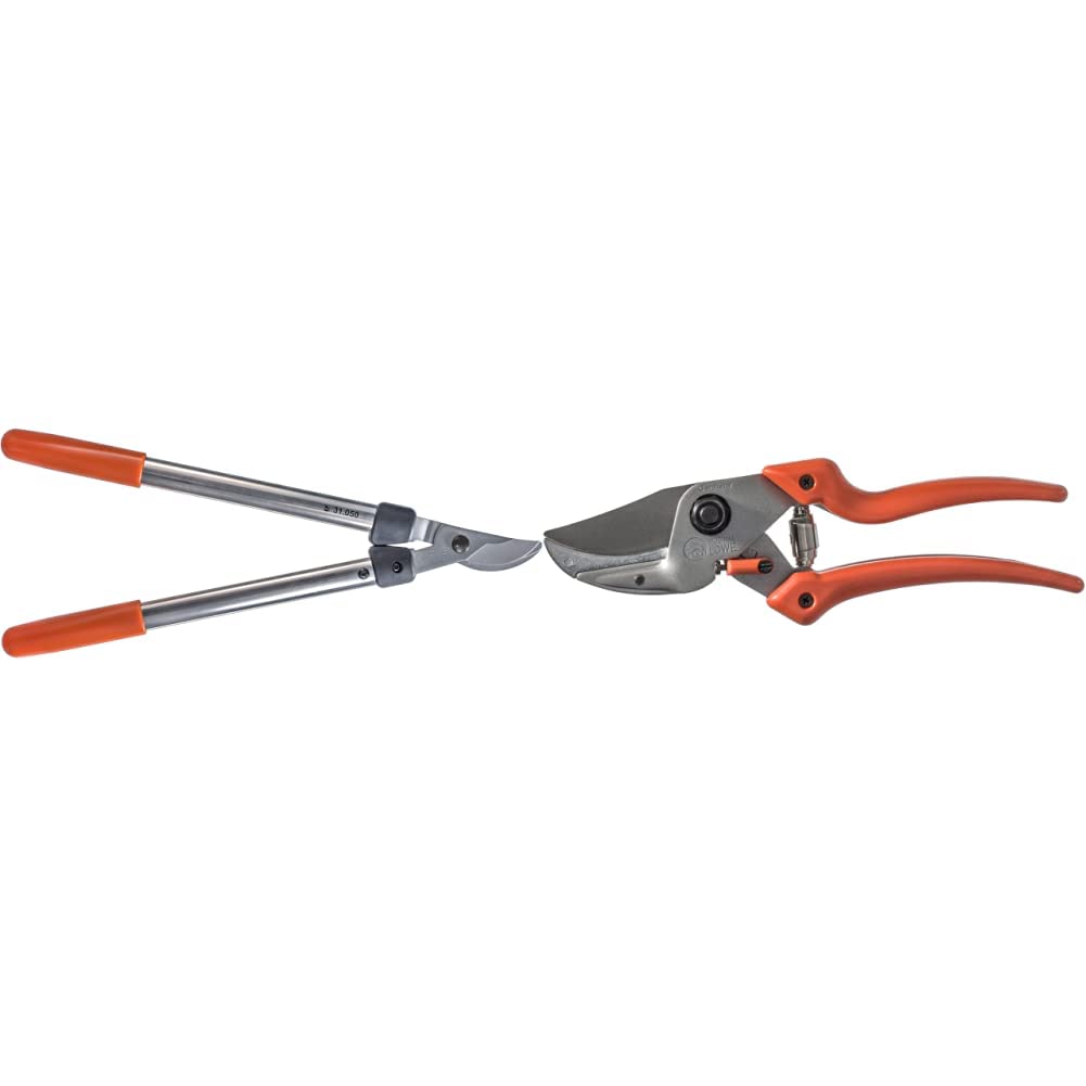 Original LÖWE 31 Profi Bypass Astschere 31.050 & 8 Profi Amboss Gartenschere 8.107 mit Bypass Geometrie - scharfe handliche Schere mit Stahl-Klinge Antihaftbeschichtung und ergonomisch geformte Griffe