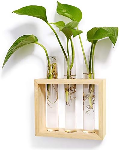 Mkono Wall Hanging Glass Planter Plant Terrarium Modern Flower Bud Vase in Wood Stand Rack Tabletop Terrarium for Propagating Hydropoinc Plants, Home Office Decoration with 3 Test Tube, Small, Beige